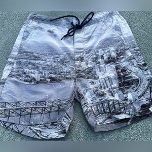 DUCHAMP Sydney Harbour Bridge Board Shorts